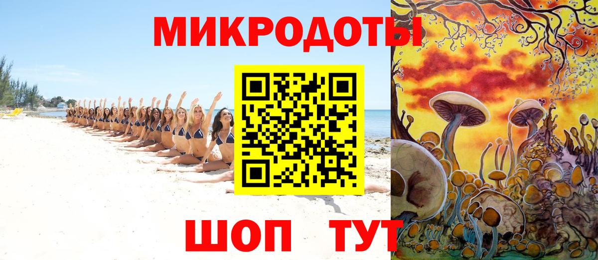 Псилоцибиновые грибы Psilocybine cubensis Еманжелинск